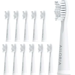 Ailoria Flash Travel Replacement