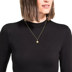 amor Motief Tag Voor Dames, 375 Goud Bicolour | Edelweiss