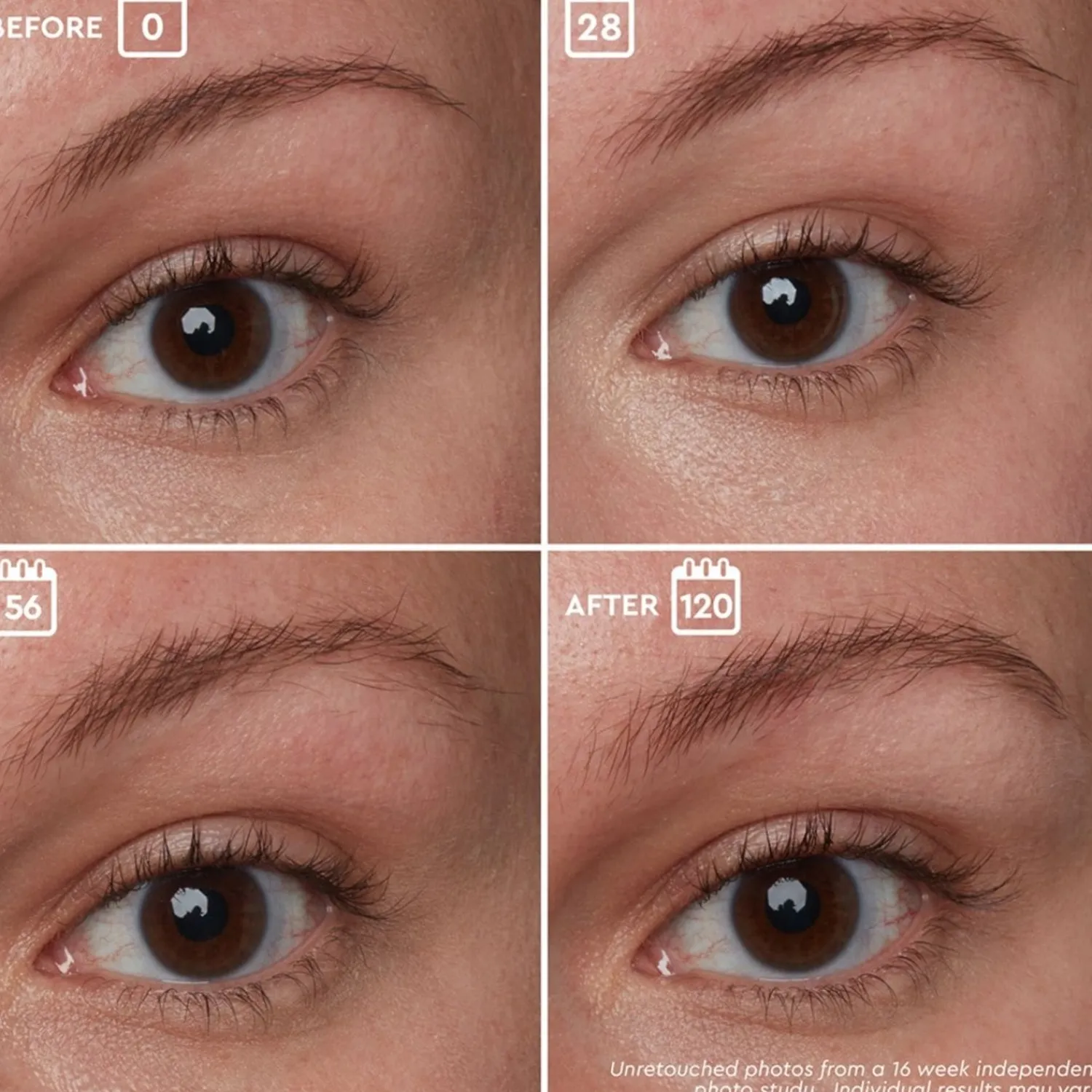 Anastasia Beverly Hills Brow Genius®