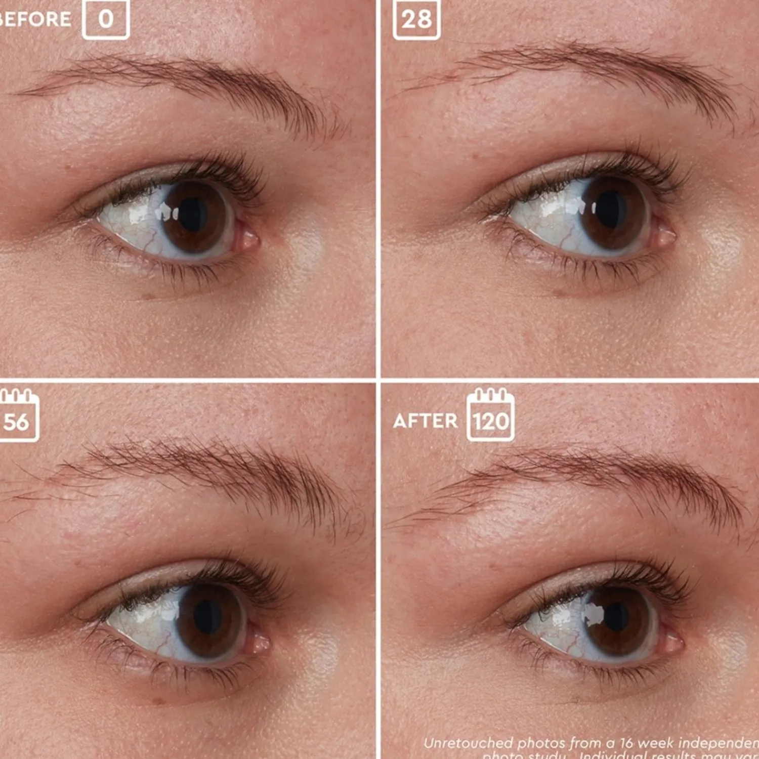 Anastasia Beverly Hills Brow Genius®