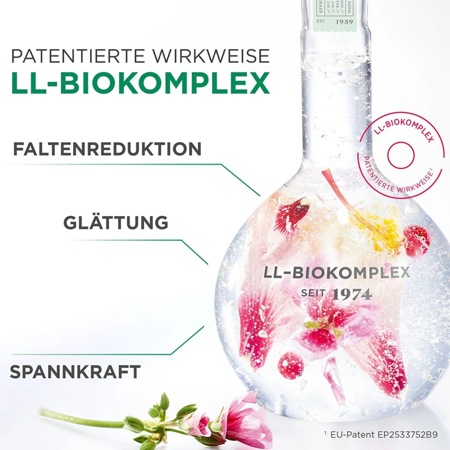 ANNEMARIE BÖRLIND Annemarie Borlind Ll Regeneratie Revitaliserend