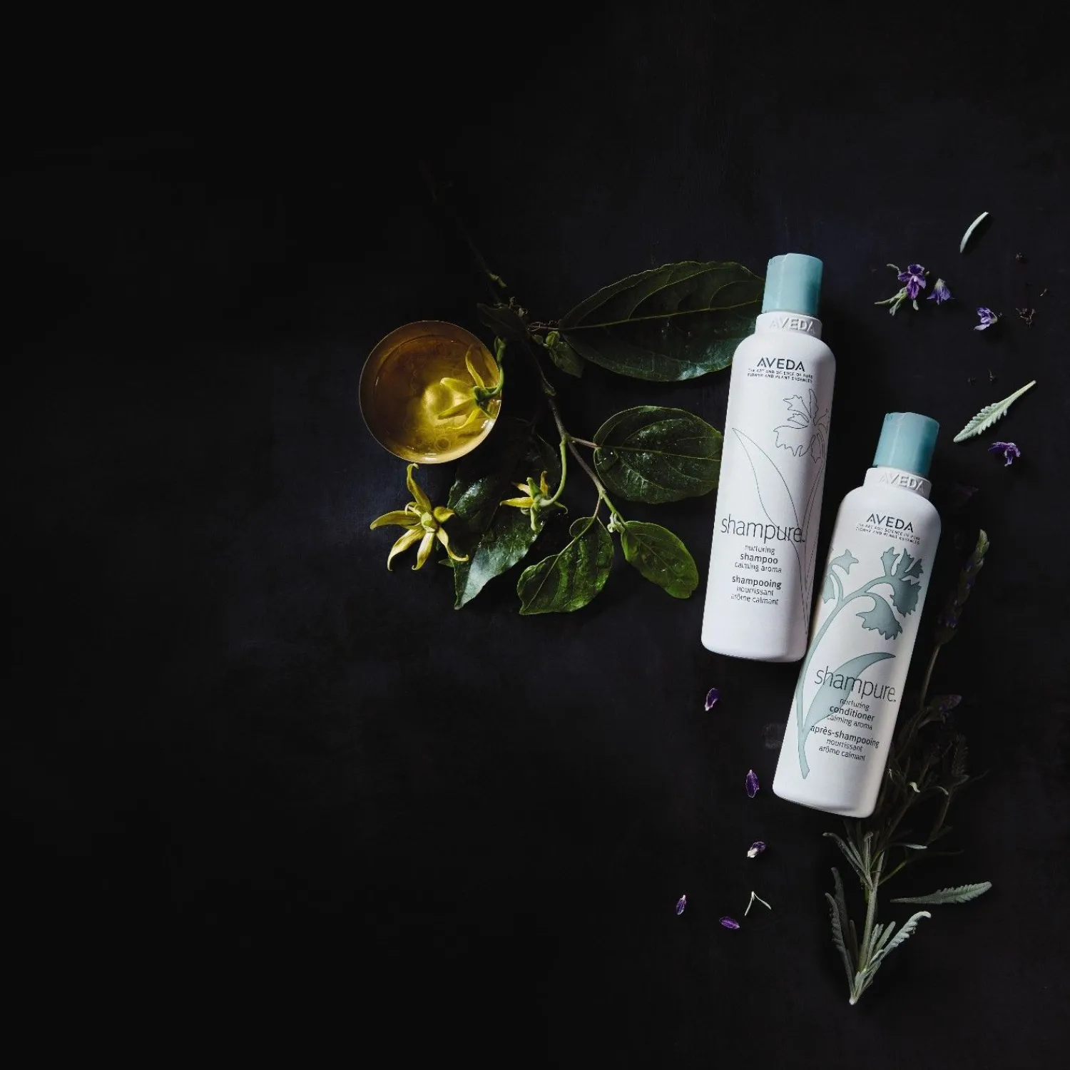 Aveda Shampure