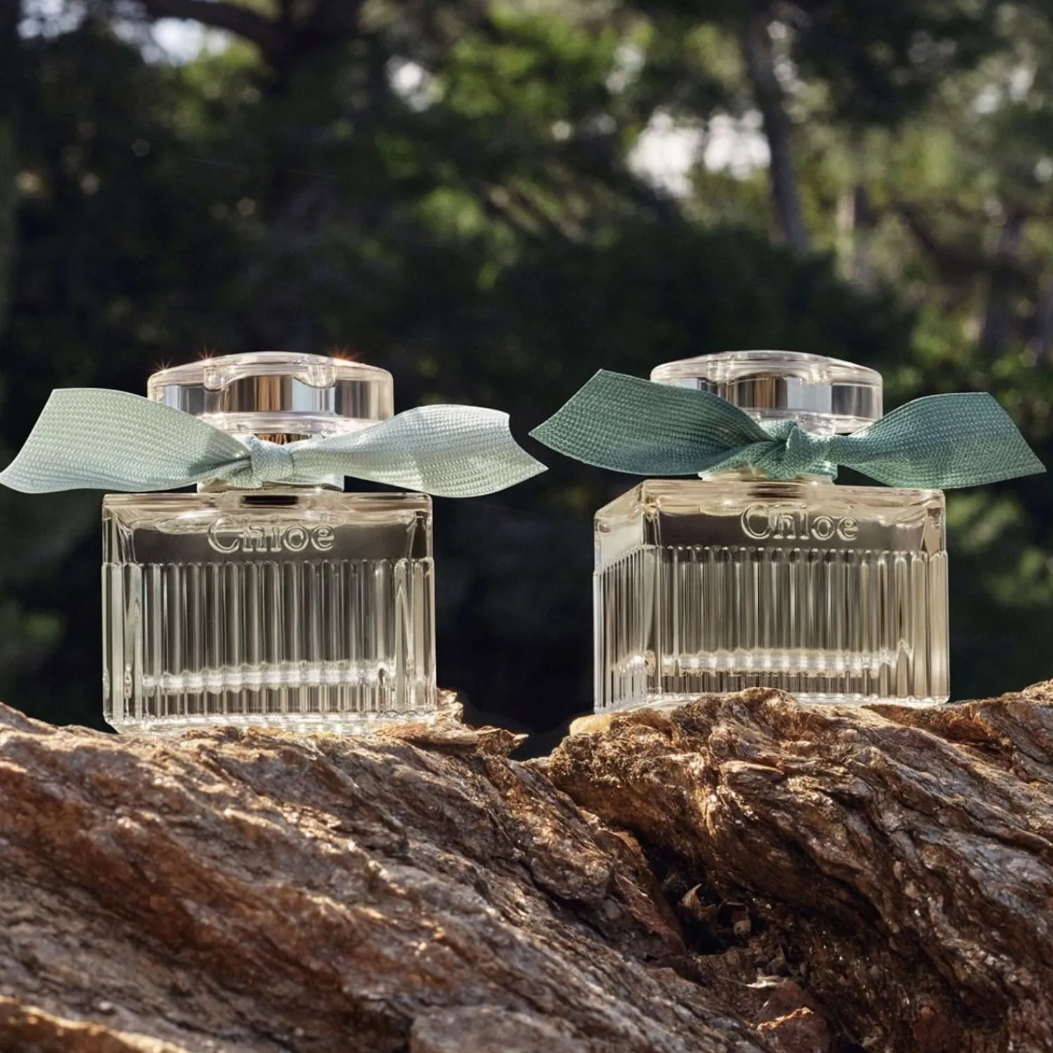 Chloé Chloe Chloe Intense Natuurlijke Roos