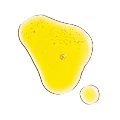 The Ordinary De Gewone Hydratatie 100% Biologische Koudgeperste Rozenbottelzaadolie