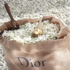 DIOR J'Adore Eau De Parfum