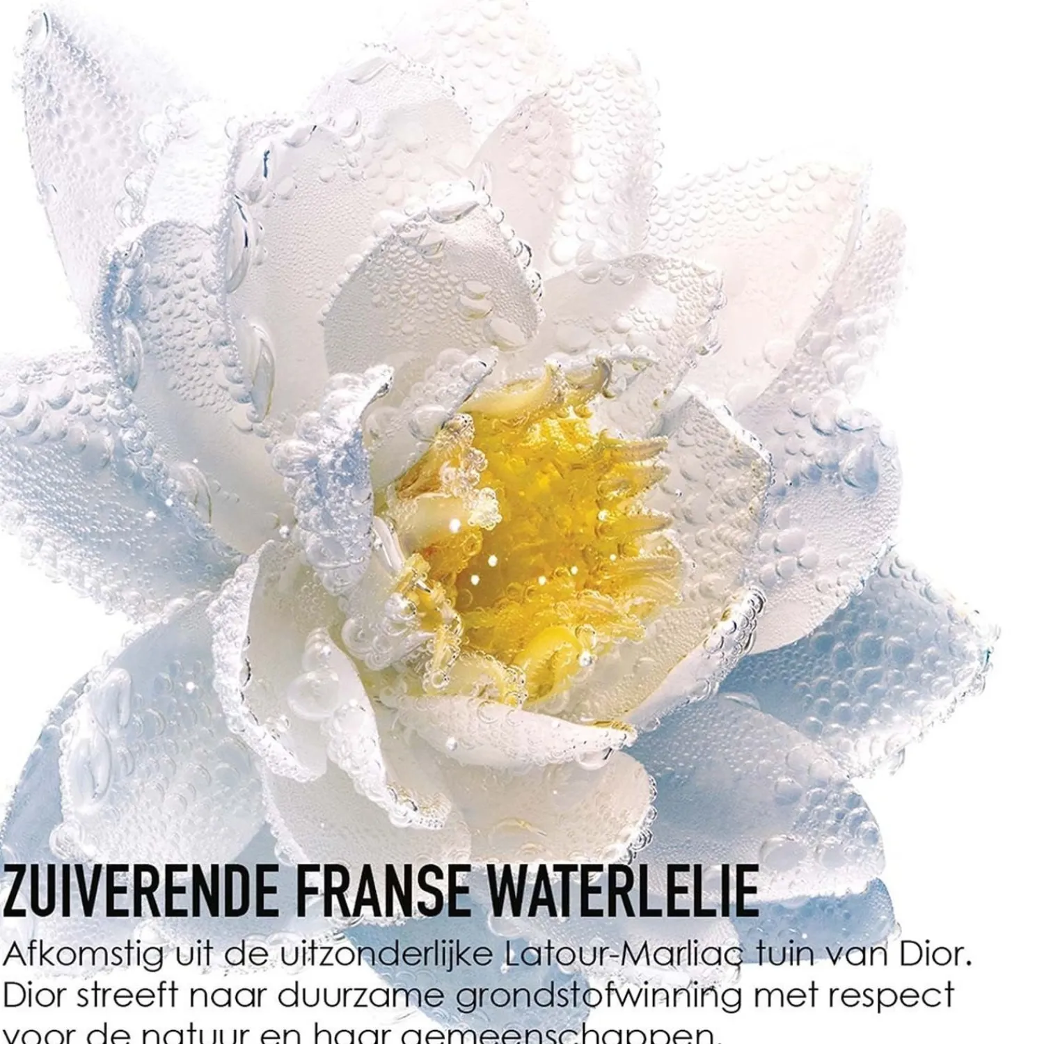 DIOR Les Nympheas Micellair Water