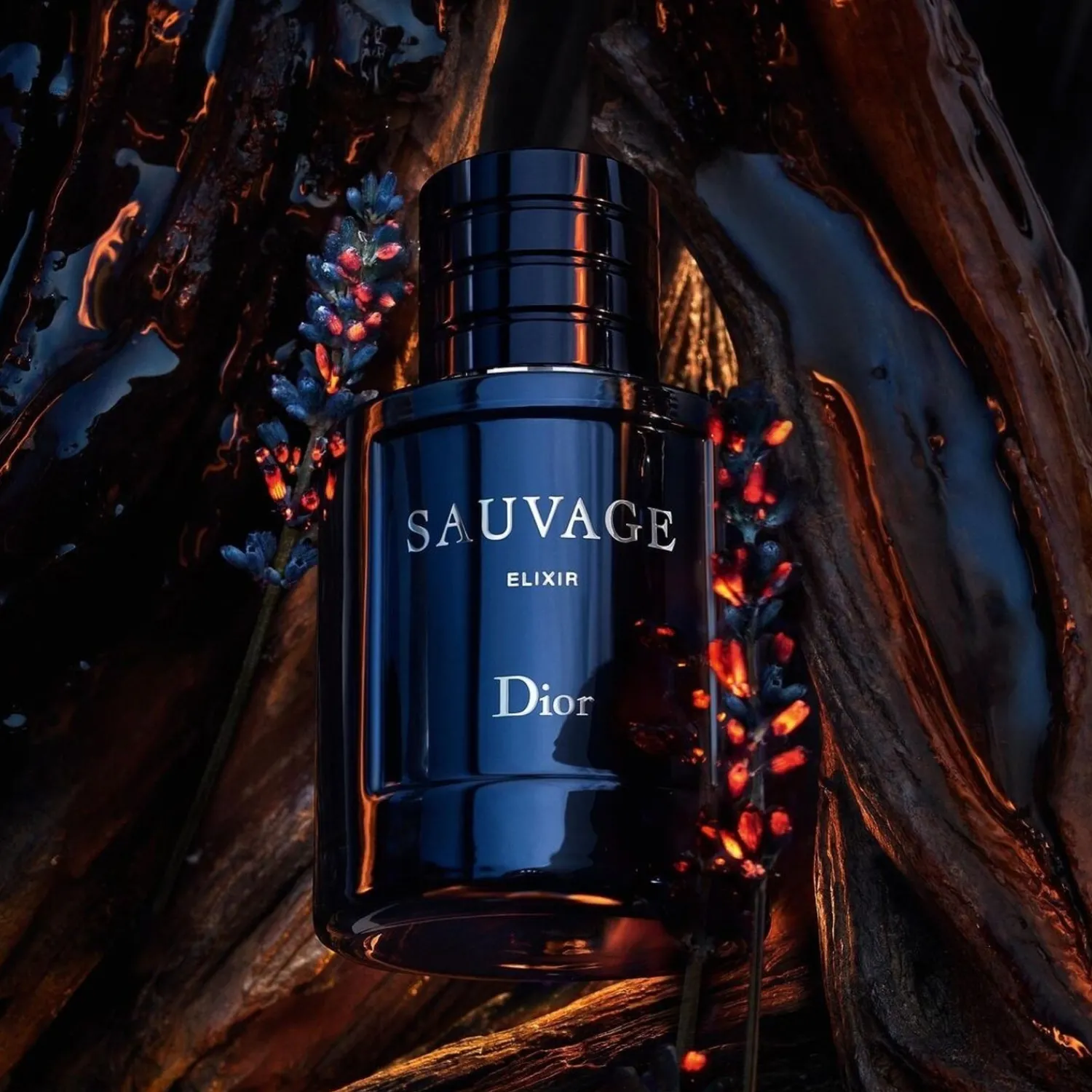 DIOR Sauvage Elixer