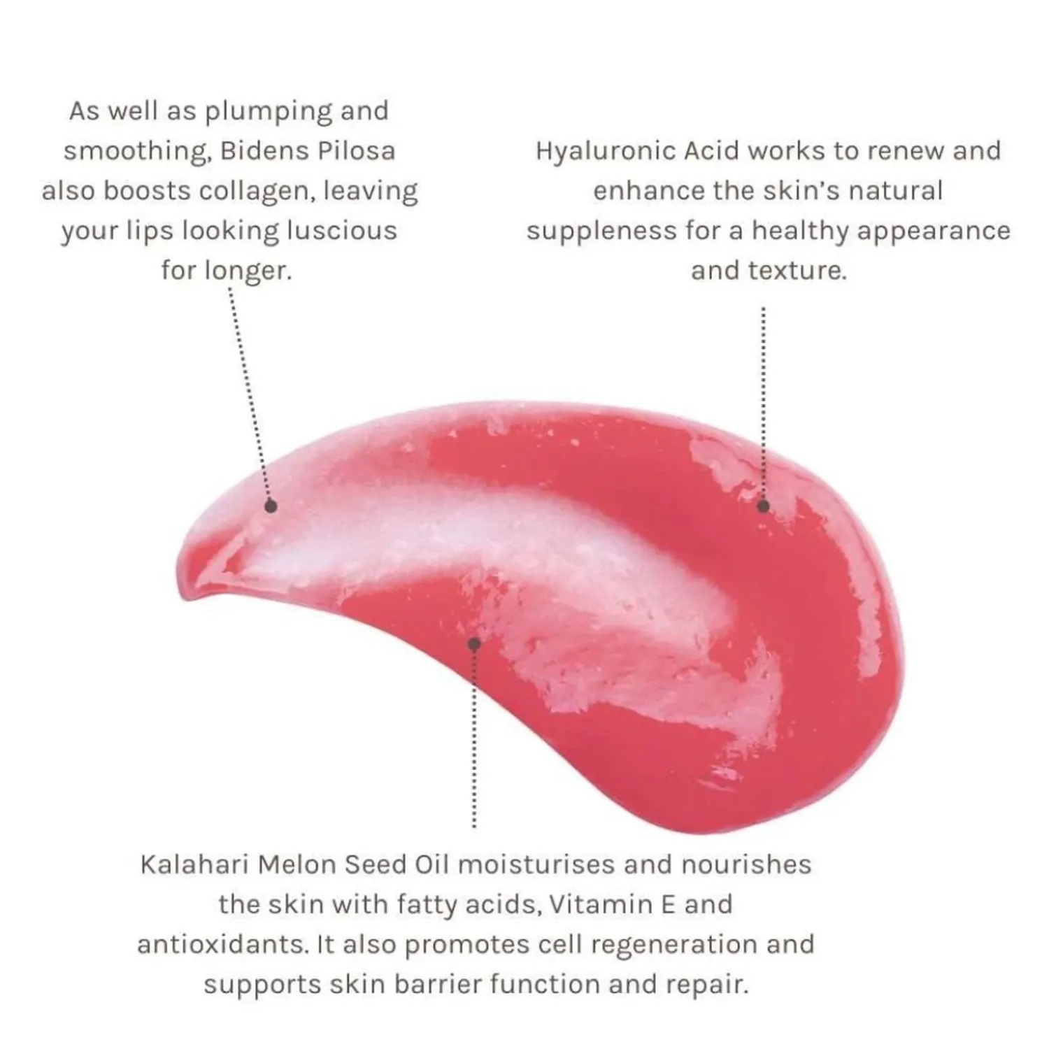 Evolve Organic Beauty Bio Retinol Glossy Lip Oil