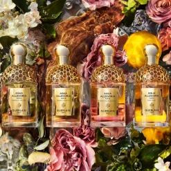 Guerlain Aqua Allegoria Bosca Vanille Forte