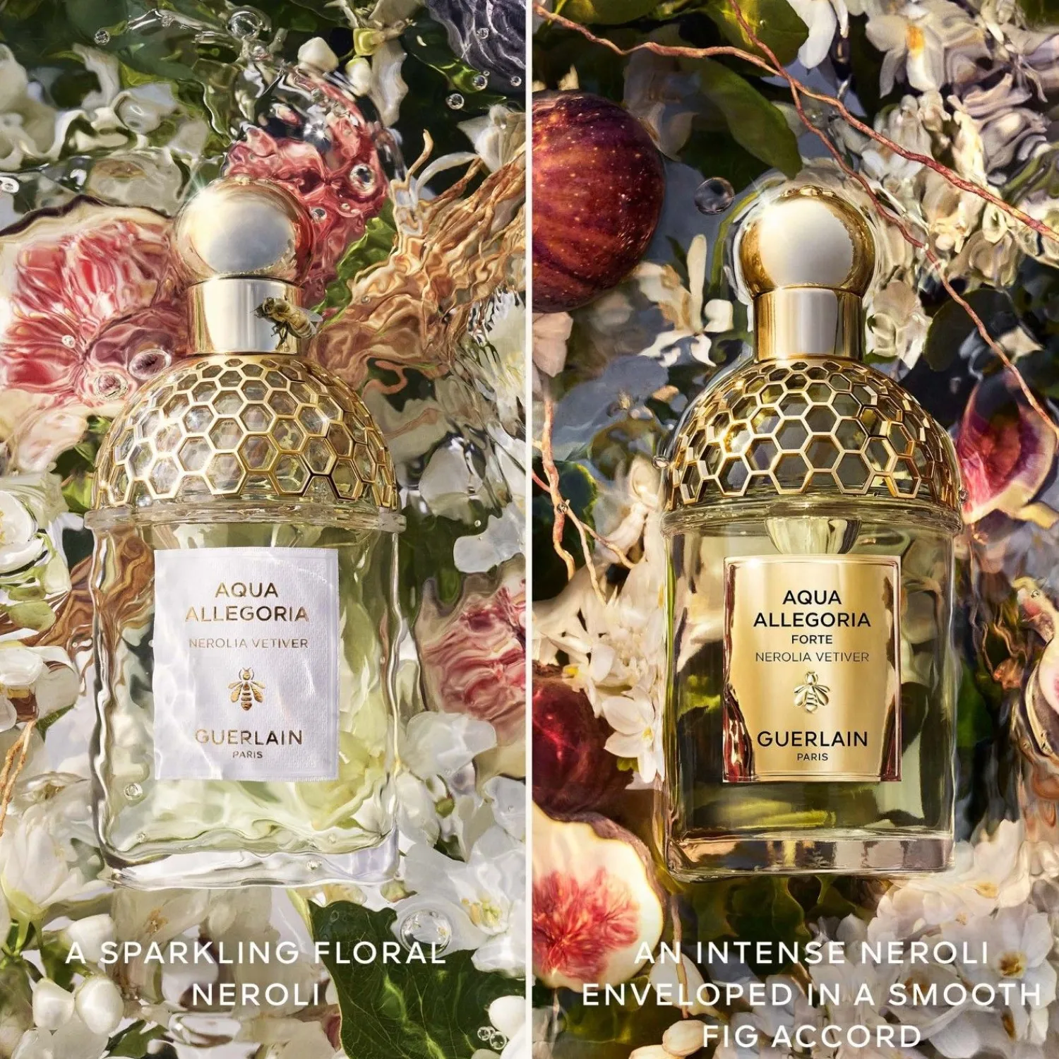 Guerlain Aqua Allegoria Nerolia Vetiver Forte Eau De Parfum