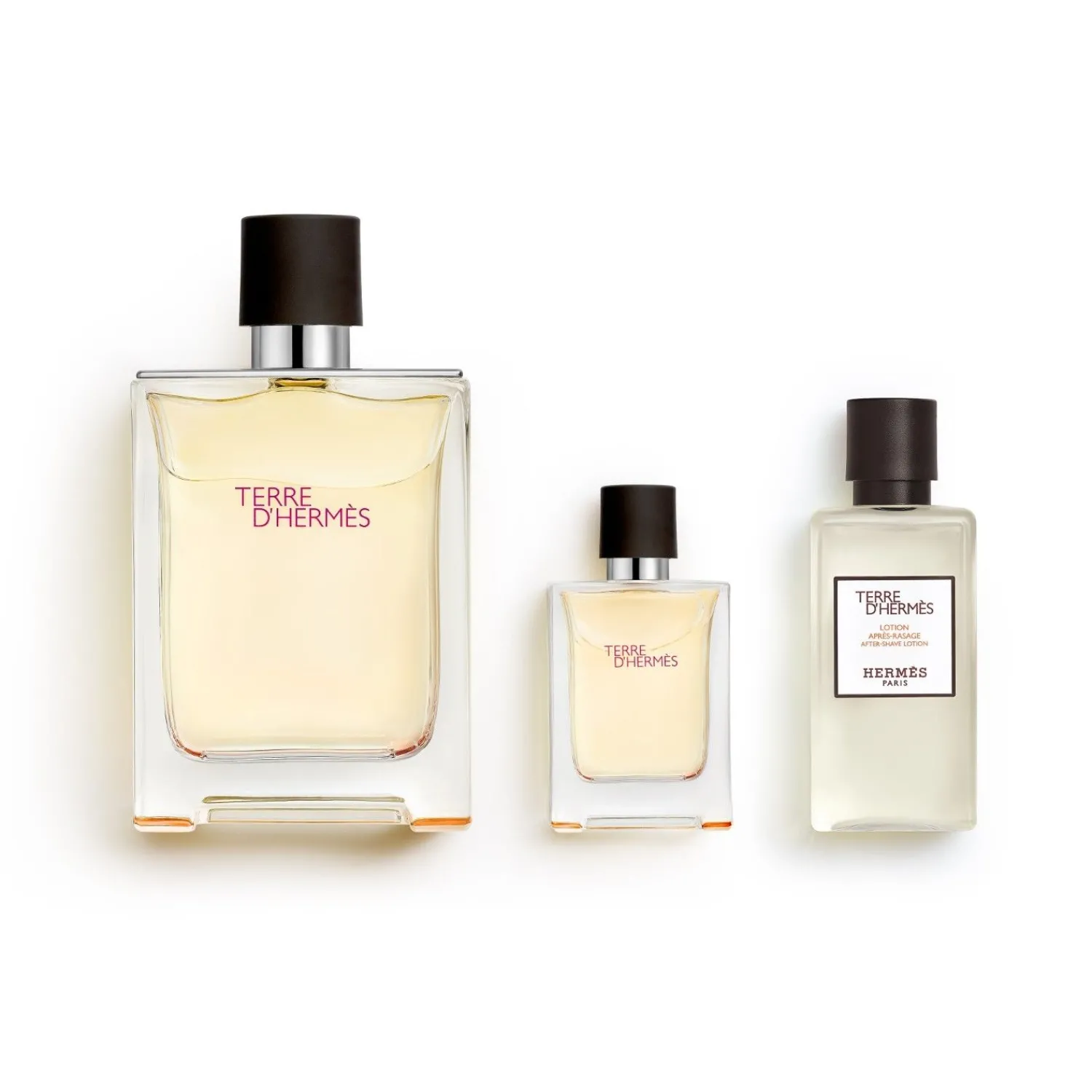 HERMÈS Hermes Terre D'Hermes Eau De Toilette 100 Ml Set