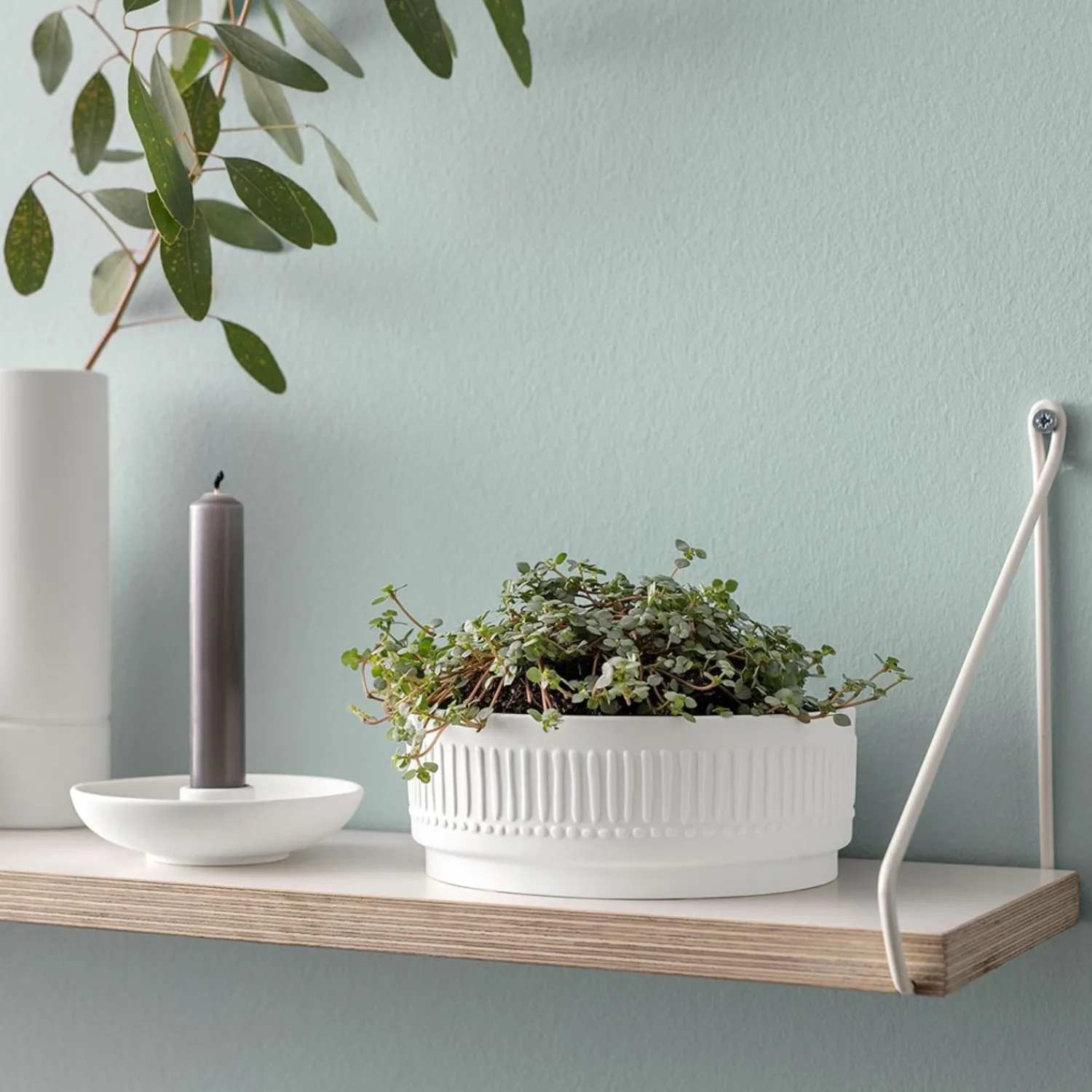 like. by Villeroy & Boch Leuk Vinden. Van Villeroy & Boch Plantenschaal Bloesemmineraal, Het Is Mijn Thuis