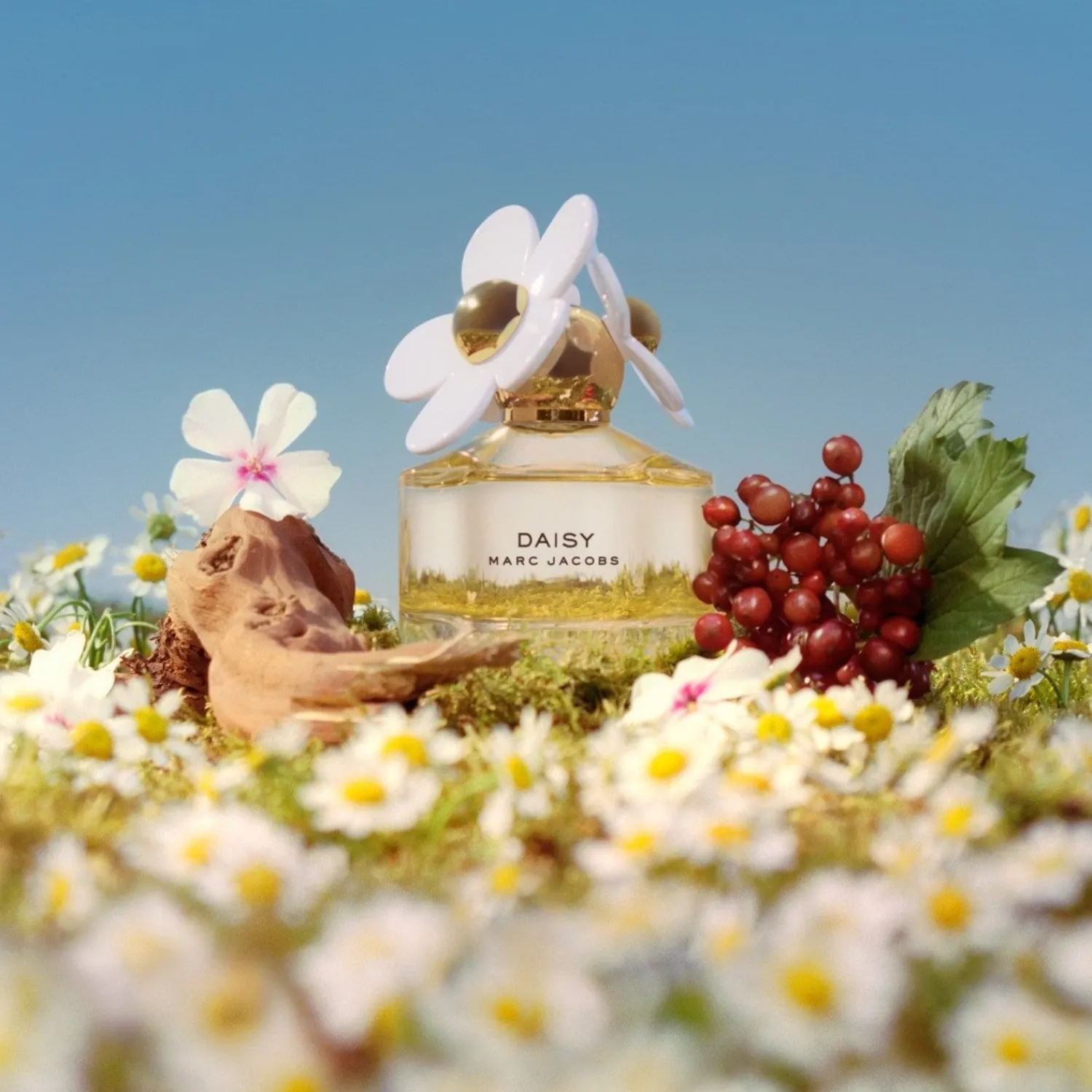 Marc Jacobs Daisy Eau De Toilette Geschenkset