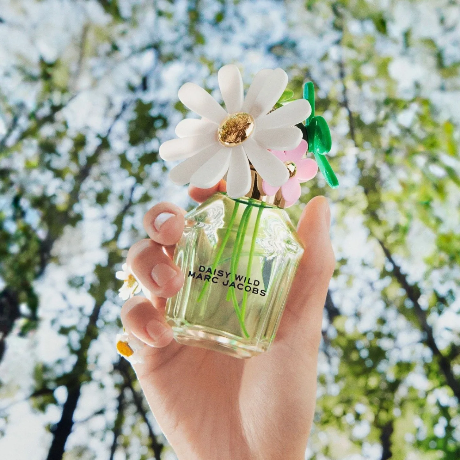 Marc Jacobs Daisy Wild