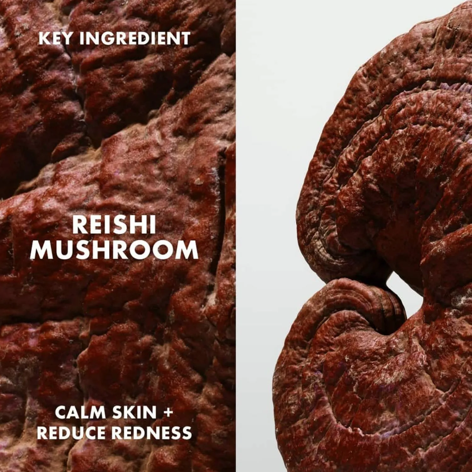 Origins Dr. Andrew Weil Voor Mega-Mushroom Relief & Resilience Kalmerende Behandelingslotion