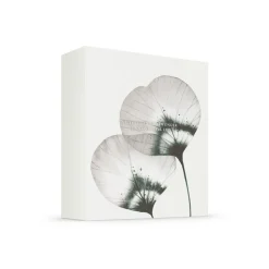 Rituals Homme Collection Medium Cadeauset