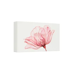 Rituals The Ritual Of Ayurveda Kleine Geschenkset