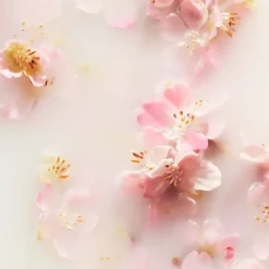 Rituals The Ritual Of Sakura Haar- En Lichaamsmist