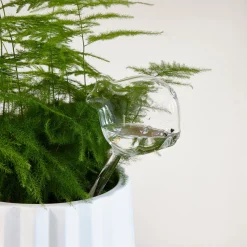 RM Sale Fish Water Waterdruppelaar Voor Planten, Vorm Van Vis Geschenkdoos