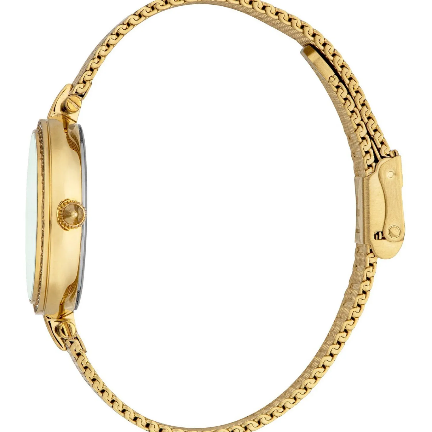 Roberto Cavalli Dameshorloge Edelstaal