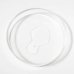 Scandinavian Biolabs Scandinavische Biolabs Bio-Pilixin® Serum Mannen