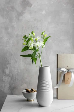 Villeroy & Boch Vaas Carre Lang Manufacture Collier Blanc